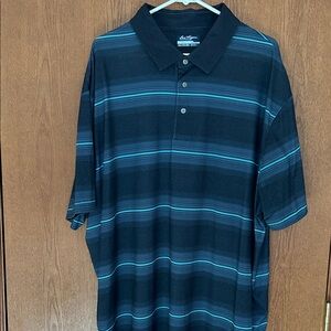 Ben HoganMen's Black & Teal Striped Polo Shirt